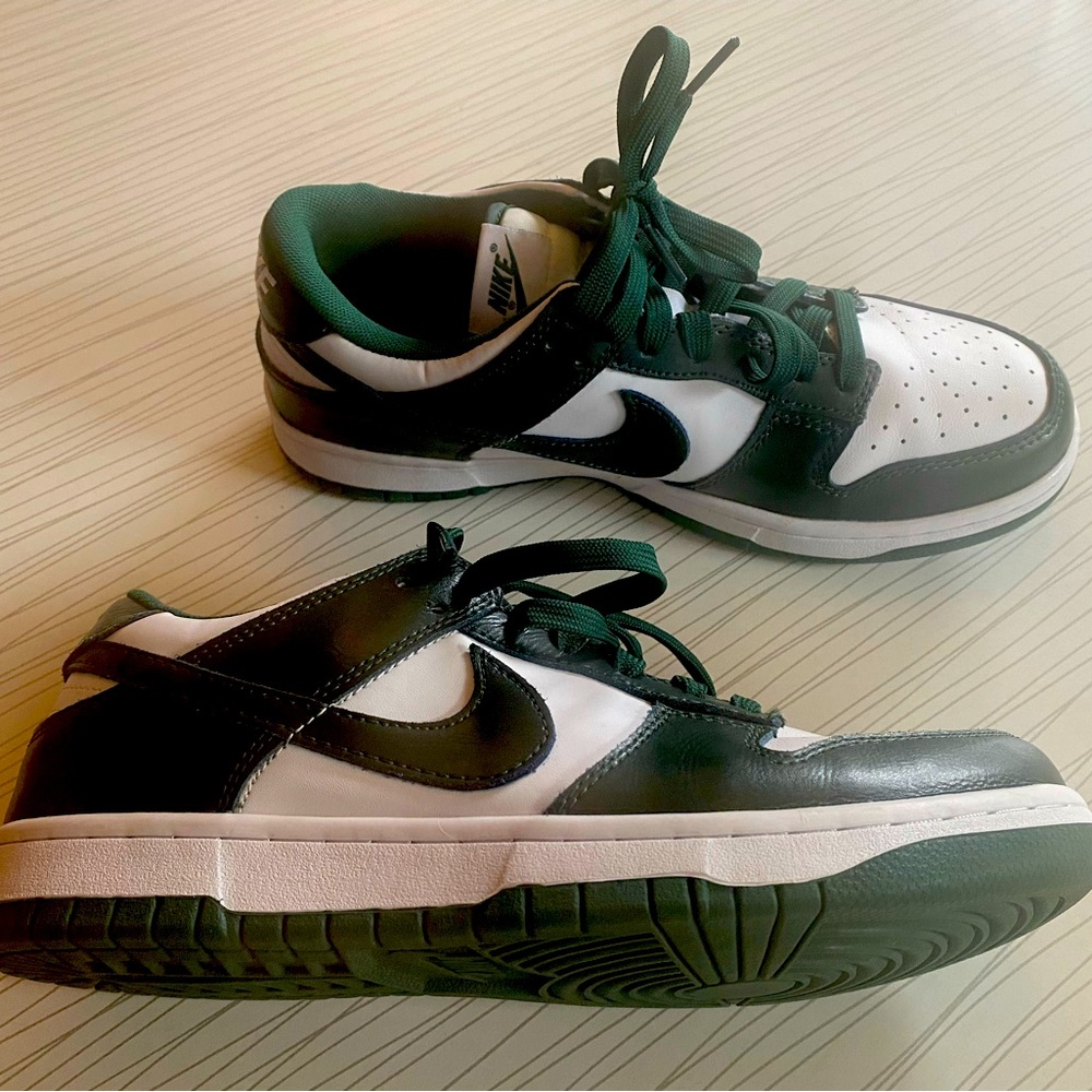 Nike Michigan state dunks 8.5